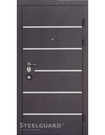 Двери Steelguard серия Forte AV-5 (квартира)
