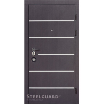 Двери Steelguard серия Forte AV-5 (квартира)