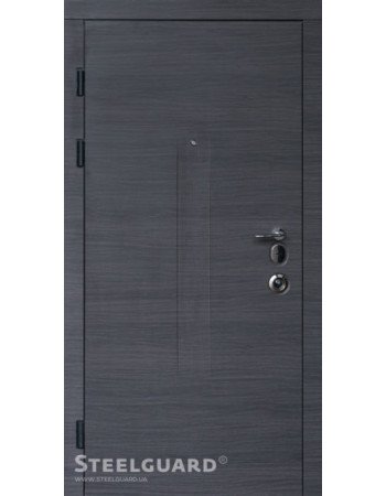 Двері Steelguard серія FORTE + модель Barсa Венге сірий горизонт/білий матовий