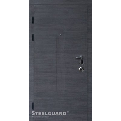 Двері Steelguard серія FORTE + модель Barсa Венге сірий горизонт/білий матовий